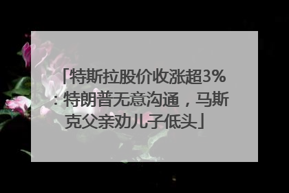 特斯拉股价收涨超3%：特朗普无意沟通，马斯克父亲劝儿子低头